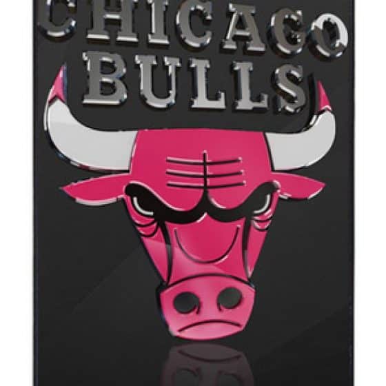 Coque Chicago Bulls