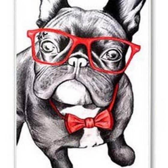 Coque Dog