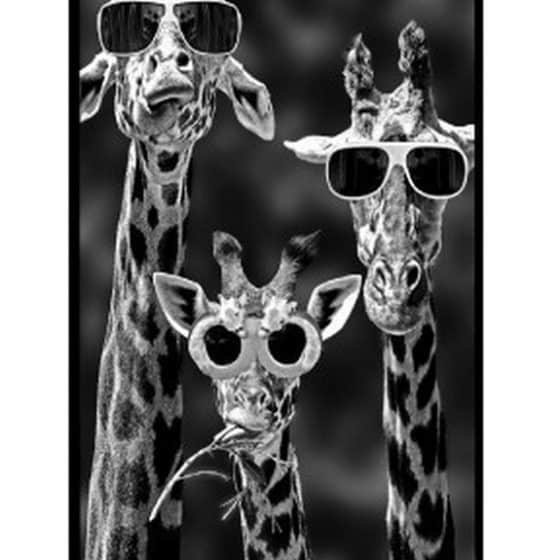 Coque Girafe N&B