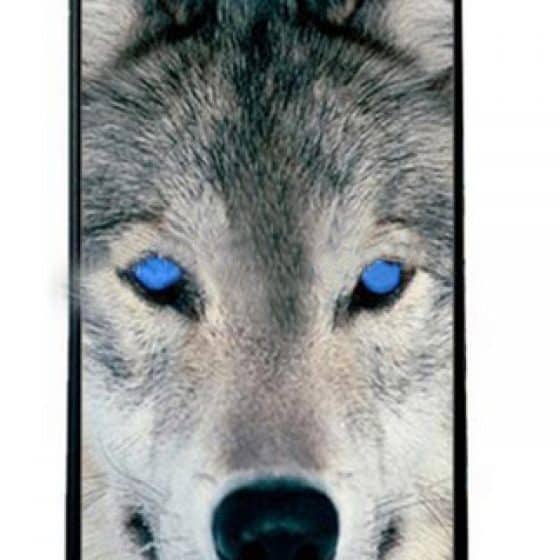 Coque Husky