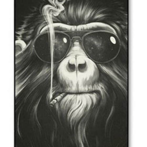 Coque Monkey Smoke