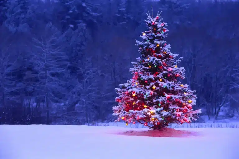 derevya-elki-novyj_god_new_year-pejzazh-prazdniki-rozhdestvo_christmas_xmas-14599
