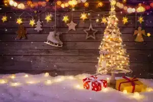 holiday-christmas-christmas_lights-christmas_ornaments-christmas_tree-decoration-gift-967902