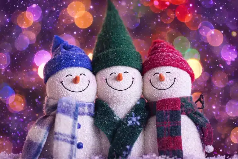 photography-snowman-christmas-1466773
