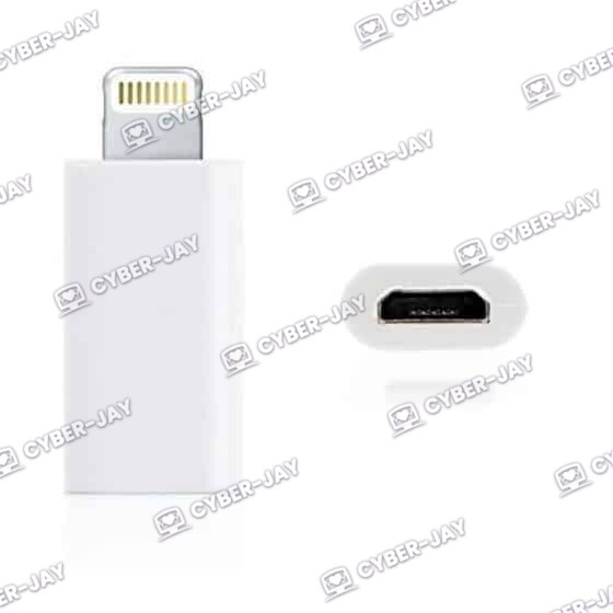 Adaptateur Lightning vers Micro USB